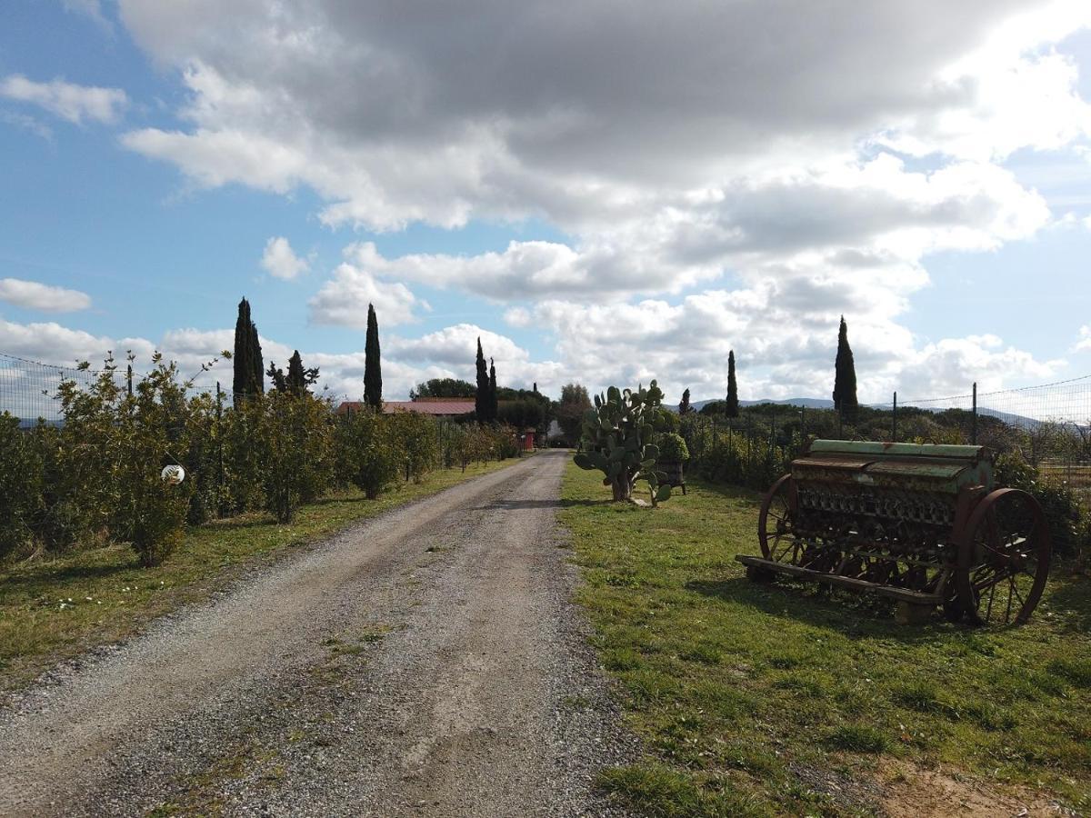 Locanda Le Mandriane Albinia Exterior photo
